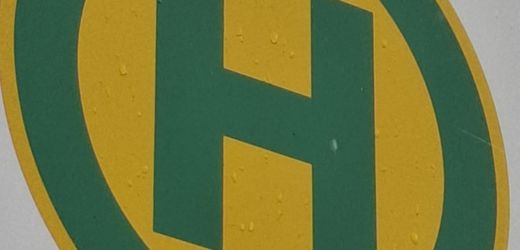 Bushaltestellensymbol: grüner Buchstabe H in grünem Kreis auf gelben Grund